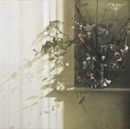 Window Light XXVIII by Anja Percival at ebo Gallery