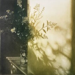 Window Light XXVII by Anja Percival at ebo Gallery