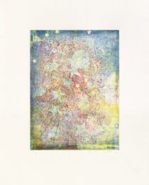 spark by Kiki Smith at LeRoy Neiman Center for Print Studies