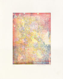 sun by Kiki Smith at LeRoy Neiman Center for Print Studies