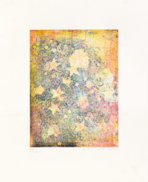 zoom by Kiki Smith at LeRoy Neiman Center for Print Studies