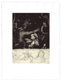 Art & Extinction by Diarmuid Delargy at Stoney Road Press