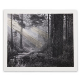 Even If I Cannot See The Colours by Danny Larsen at RedHouse Gallery