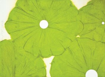 Green Poppies by Donald Sultan at Michael Lisi/Contemporary Art