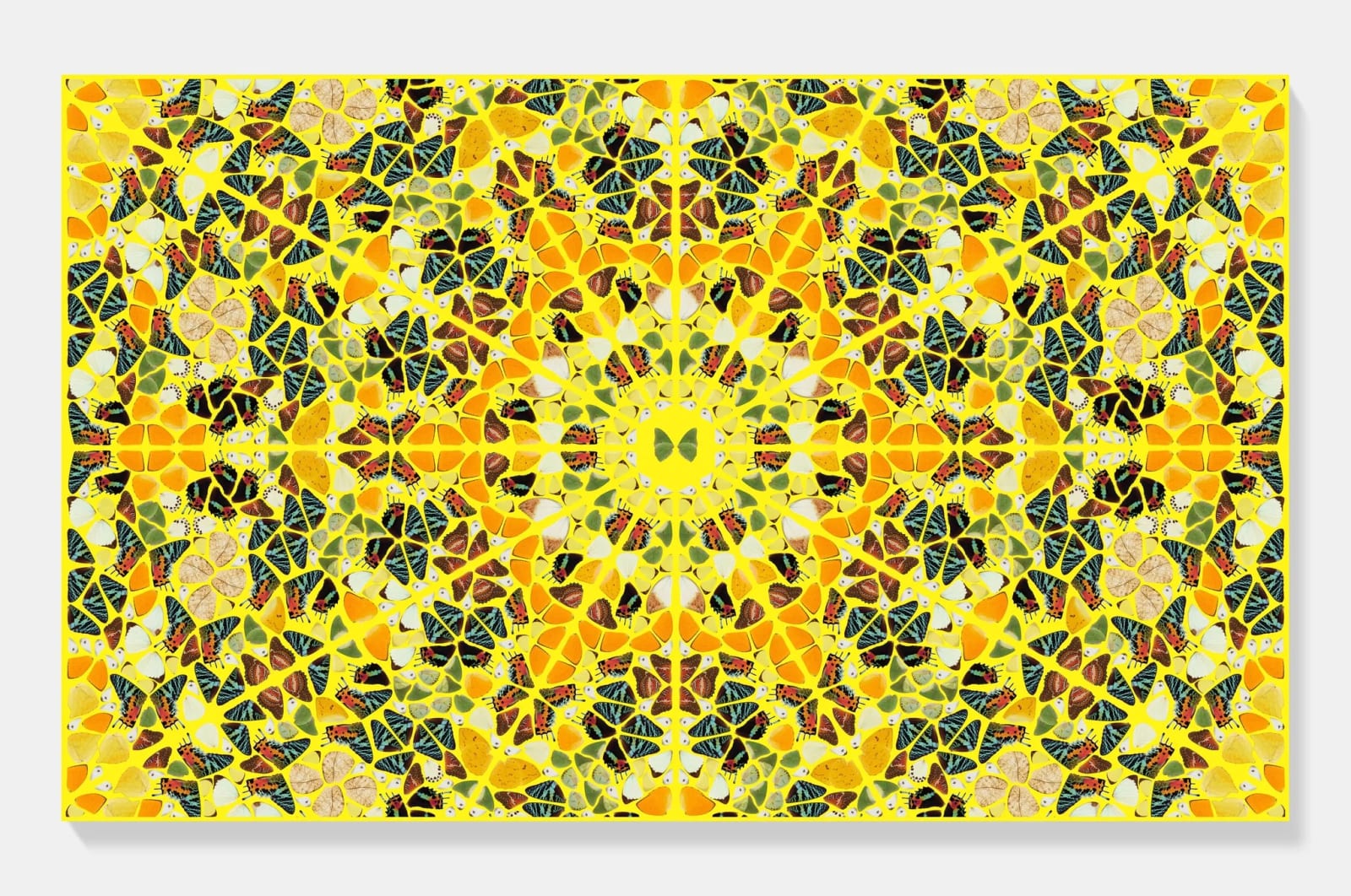 Damien Hirst Splendour from the Kaleidoscopes by Damien Hirst