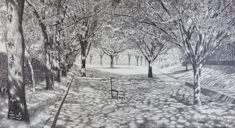 Sunlight Filtering Through the Trees by Keisuke Yamamoto at ebo Gallery