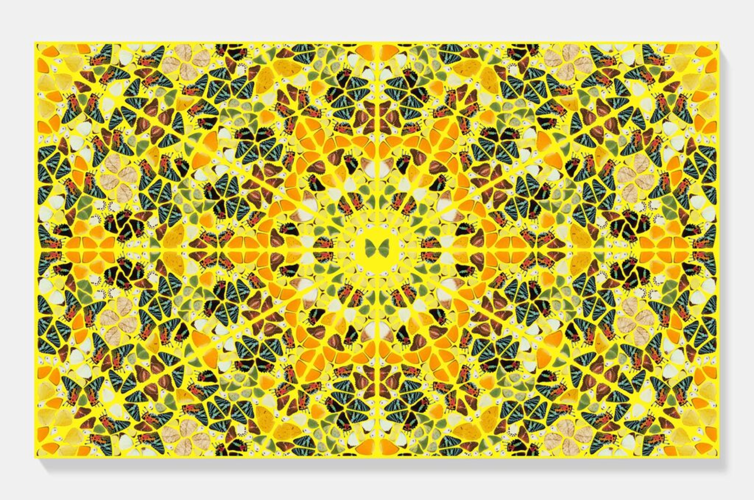 Damien Hirst Splendour from the Kaleidoscopes by Damien Hirst