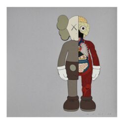 Dissected Companion (Brown) by KAWS at Dovehouse Contemporary