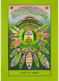 HEXEN 5.0/Tarot/Seven of Wands – Regenerative Systems (Tate variation) by Suzanne Treister at TATE