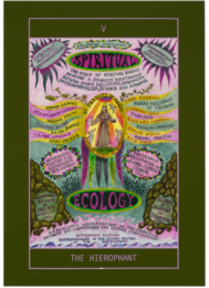 HEXEN 5.0/Tarot/V The Hierophant -Spiritual Ecology (Tate variation) by Suzanne Treister at TATE