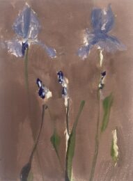 Iris by Shirley Irons at VanDeb Editions