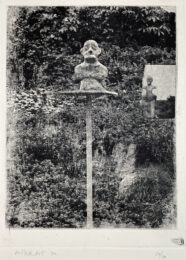 P.o.th.A.a. Vfb (Portrait of the Artist as Vogelfutterbüste) by Dieter Roth at Petersburg Press