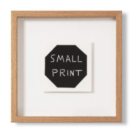 Small Print by David Shrigley at MLTPL
