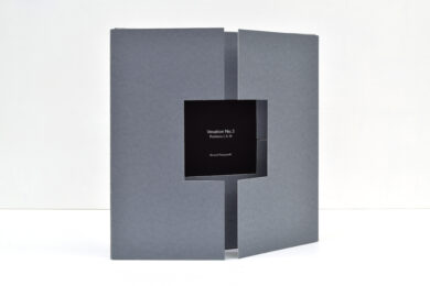 Vexation #3 by Richard Pasquarelli at VanDeb Editions