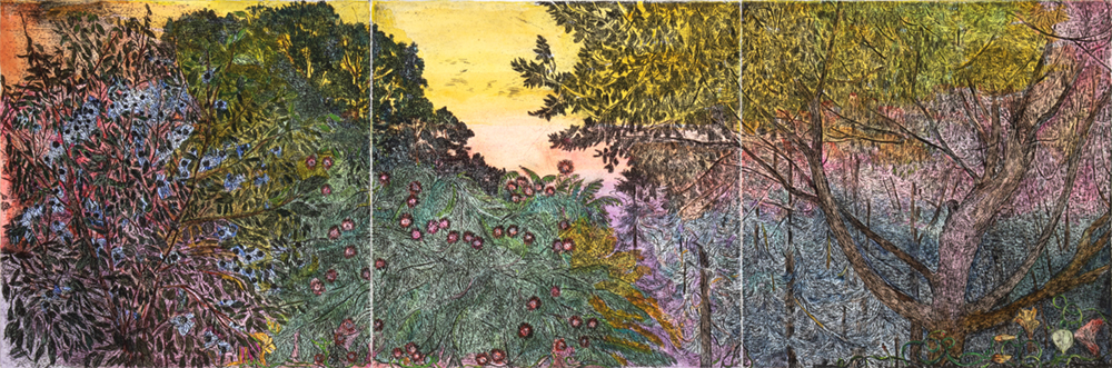 Treetops (Monoprint) by Nancy Friese