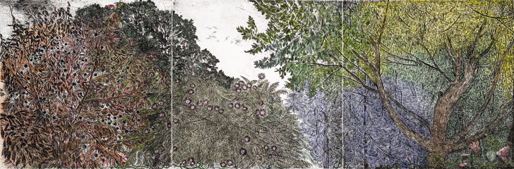 Treetops (Monoprint) by Nancy Friese
