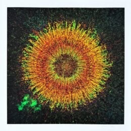 Phoenix Cluster by Jaremi Picz at Epicentrum Art Gallery