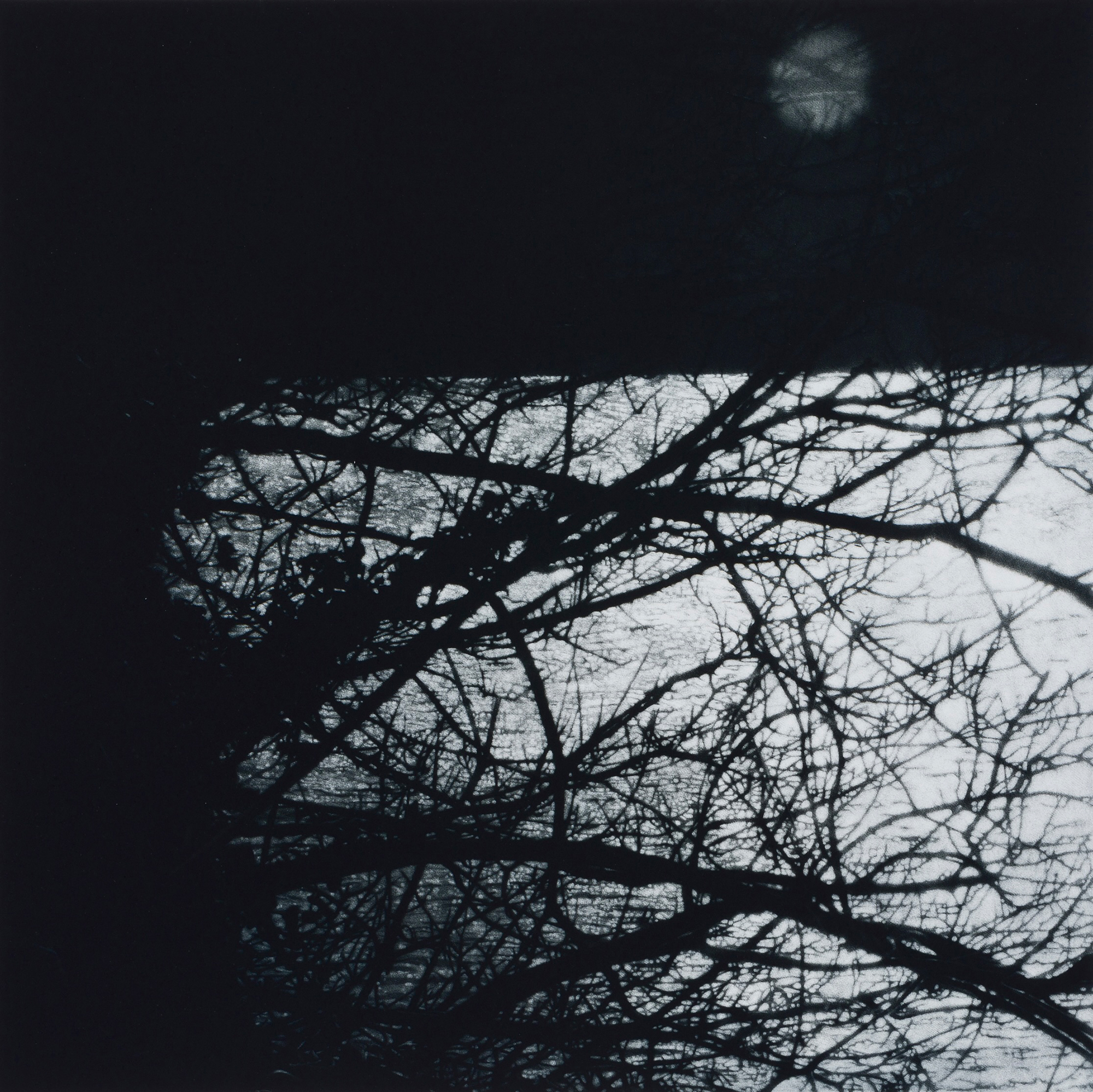 Shimmer by Sarah Gillespie
