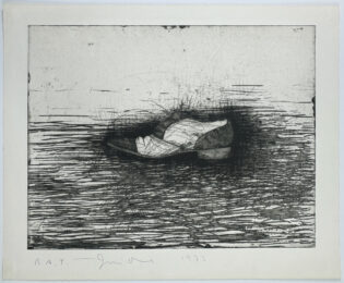 Shoe (third state) by Jim Dine at Petersburg Press