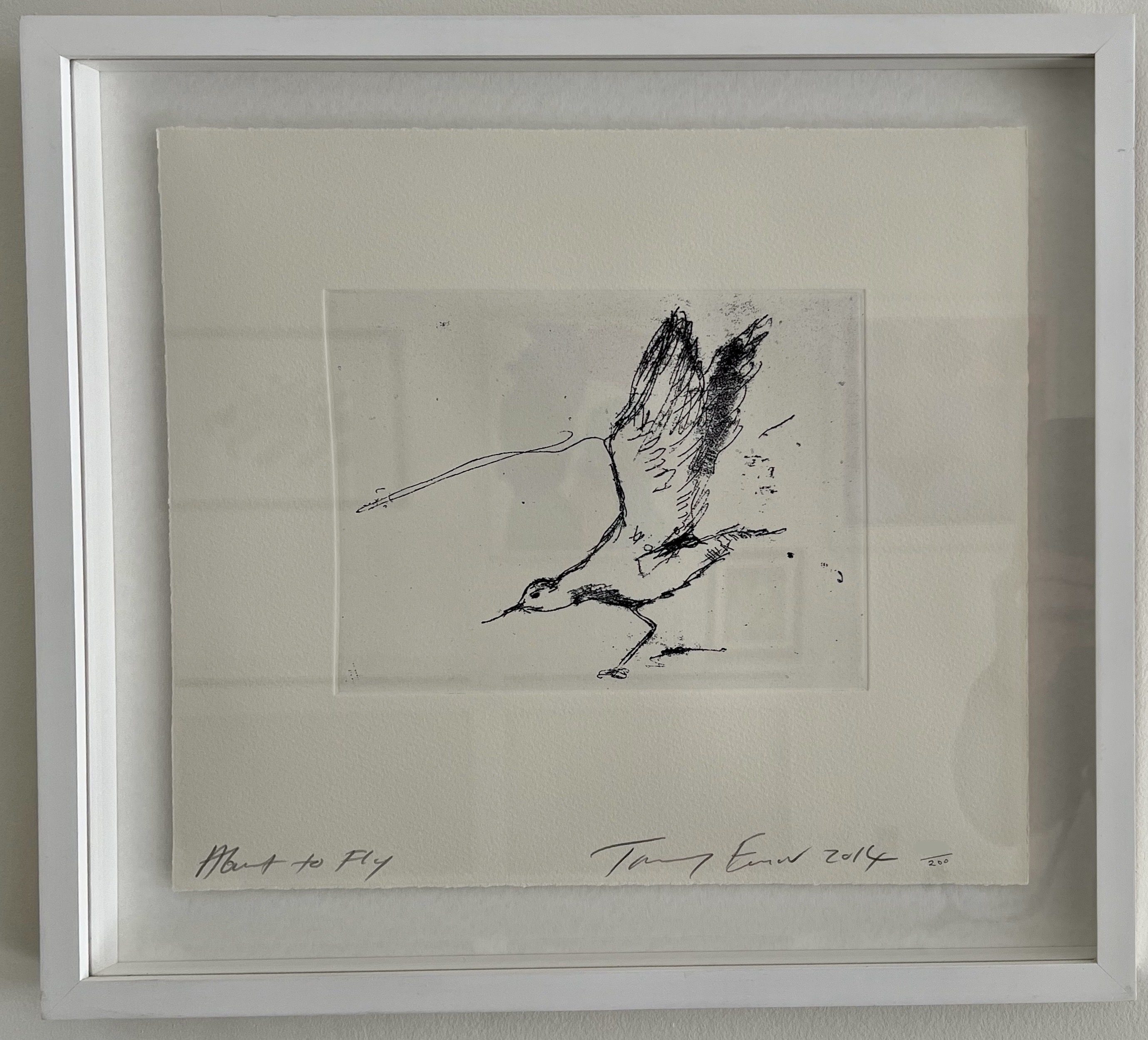 About to Fly by Tracey Emin