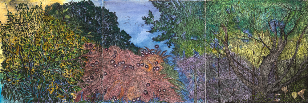 Treetops (Monoprint) by Nancy Friese