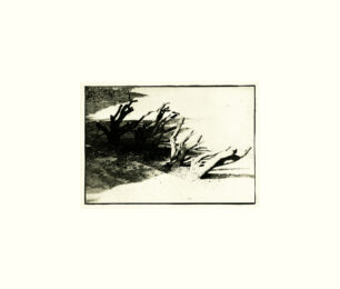 Untitled vi by David Lynch at Tandem Press (IFPDA)