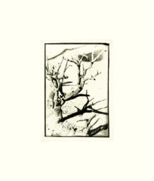 Untitled xii by David Lynch at Tandem Press (IFPDA)