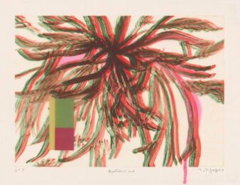 boutonnière 5 by Judy Pfaff at Tandem Press (IFPDA)