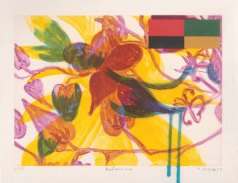 boutonnière 8 by Judy Pfaff at Tandem Press (IFPDA)