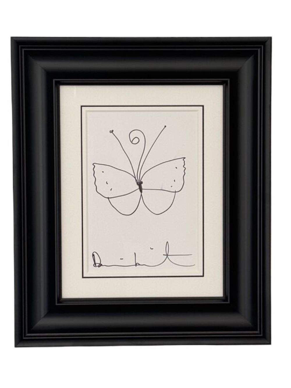 Butterfly by Damien Hirst