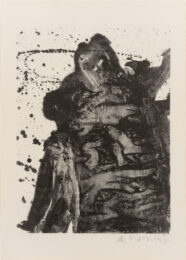 Big by Willem De Kooning at Susan Sheehan Gallery
