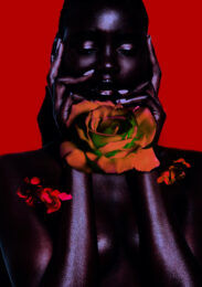 Black Rose by Jamie Nelson at Addicted Art Gallery
