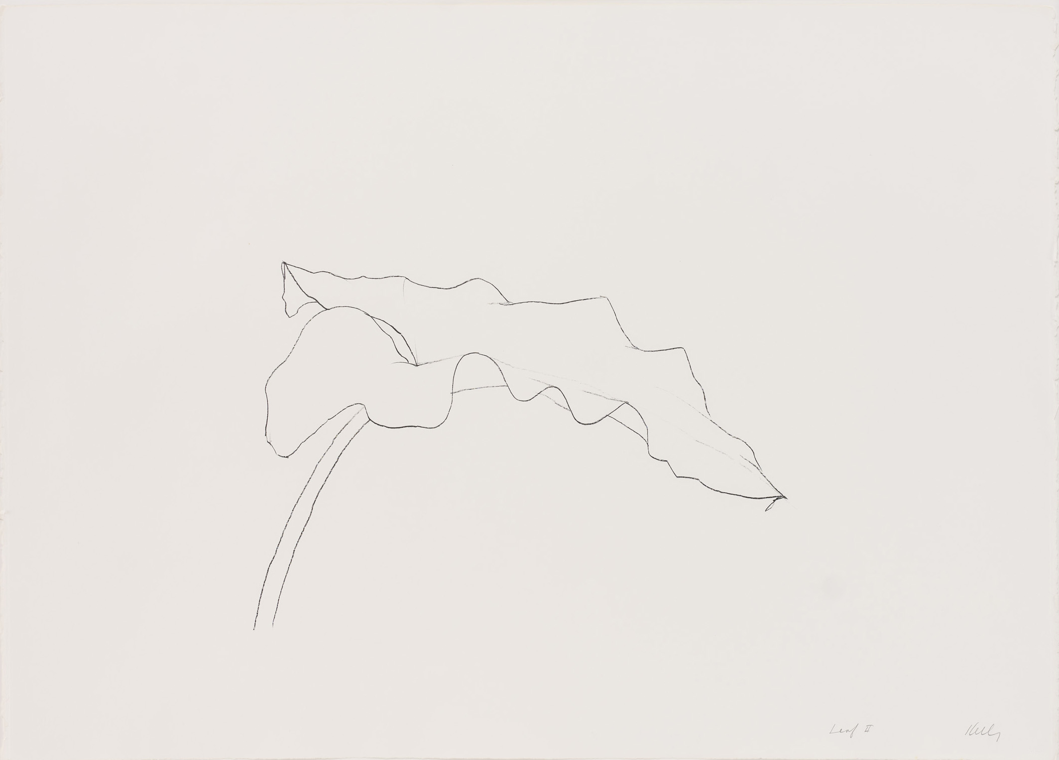 Leaf ii by Ellsworth Kelly
