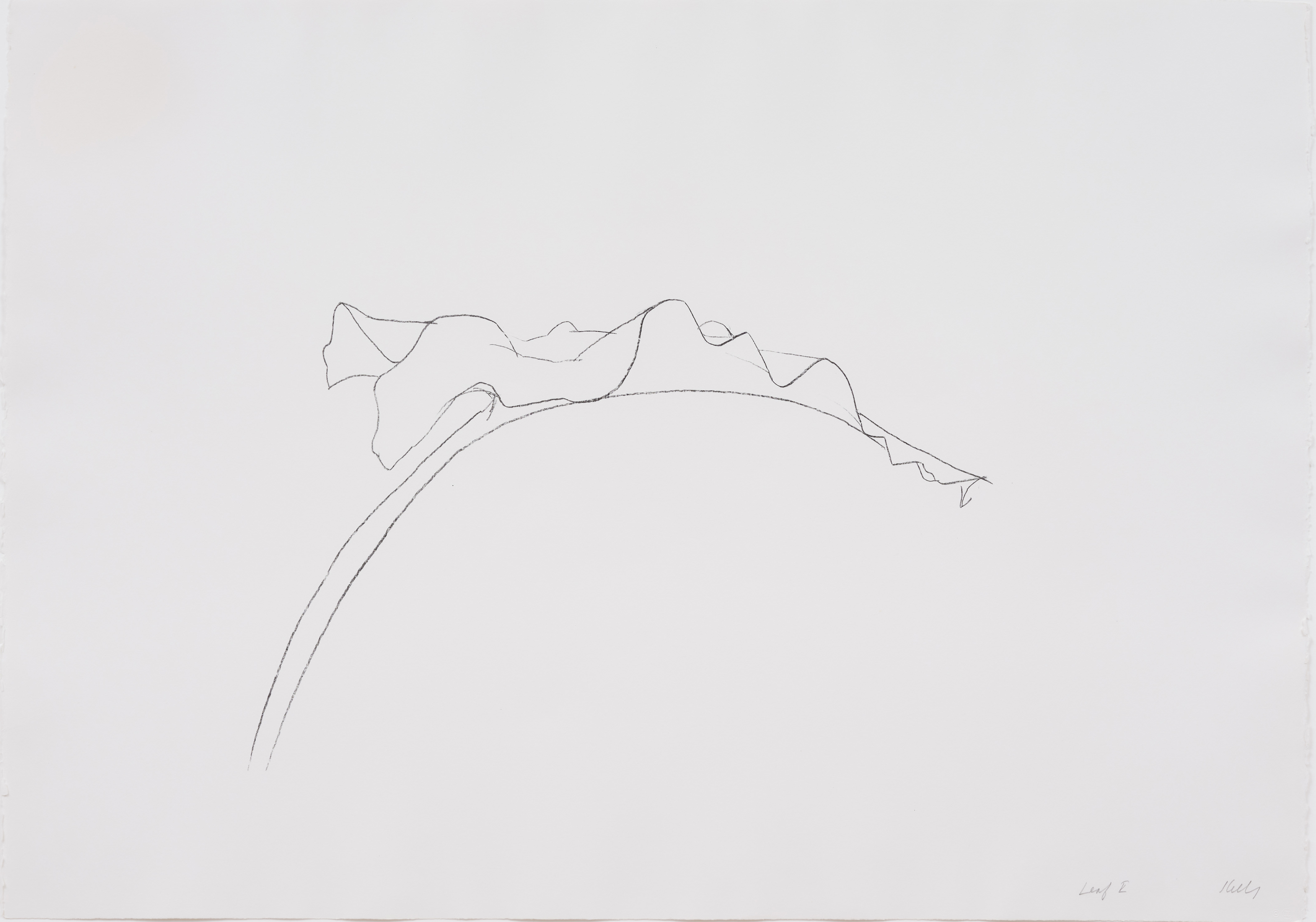 Leaf v by Ellsworth Kelly