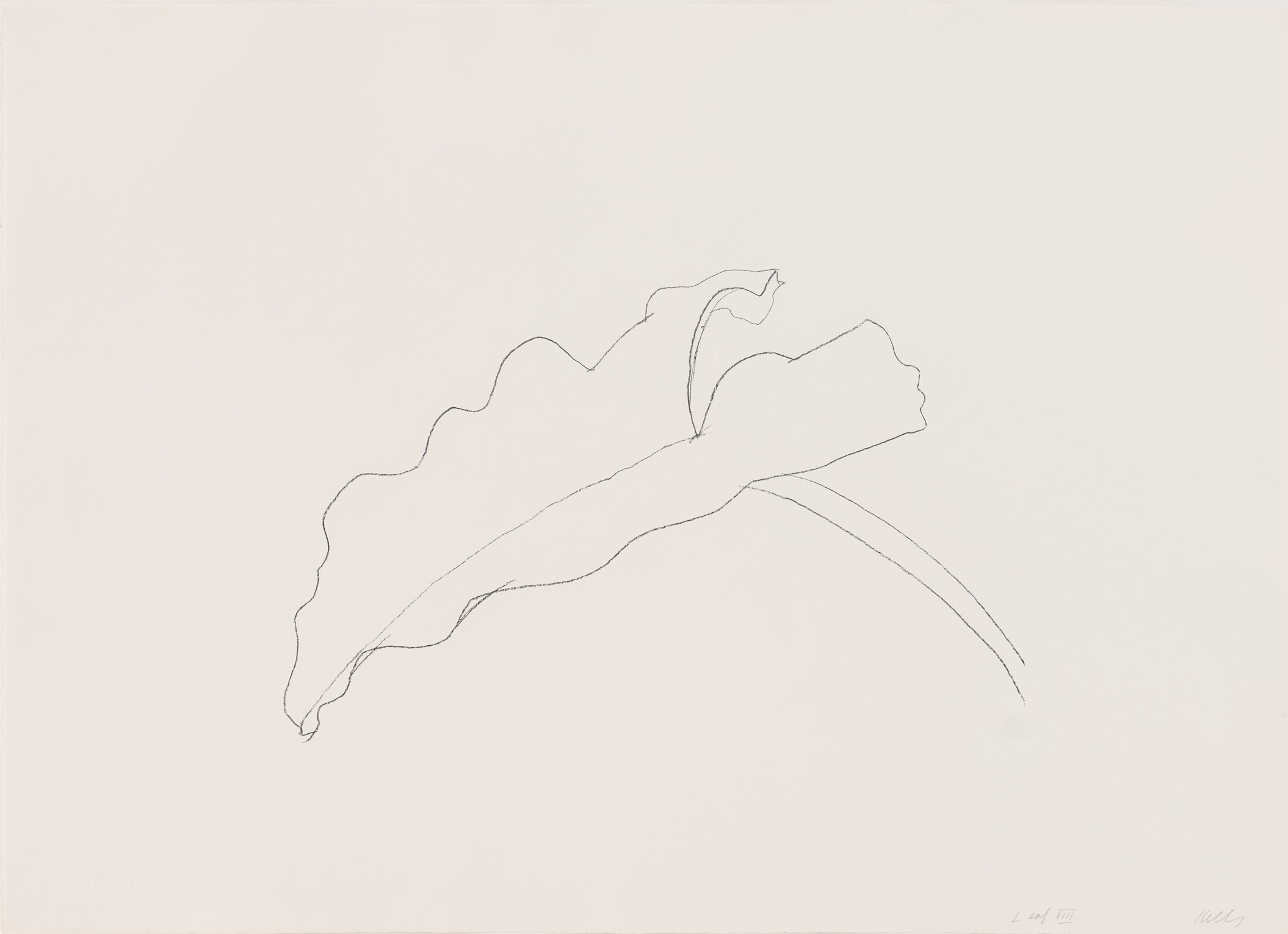 Leaf viii by Ellsworth Kelly