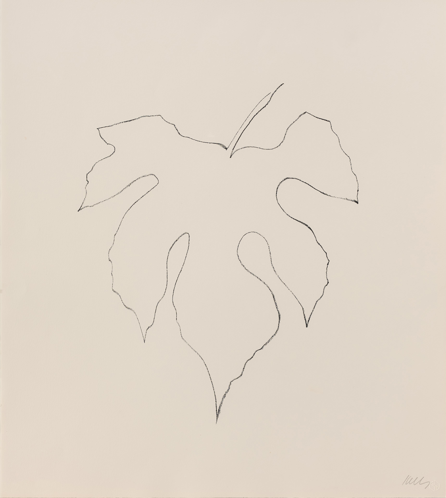 Wild Grape Leaf by Ellsworth Kelly