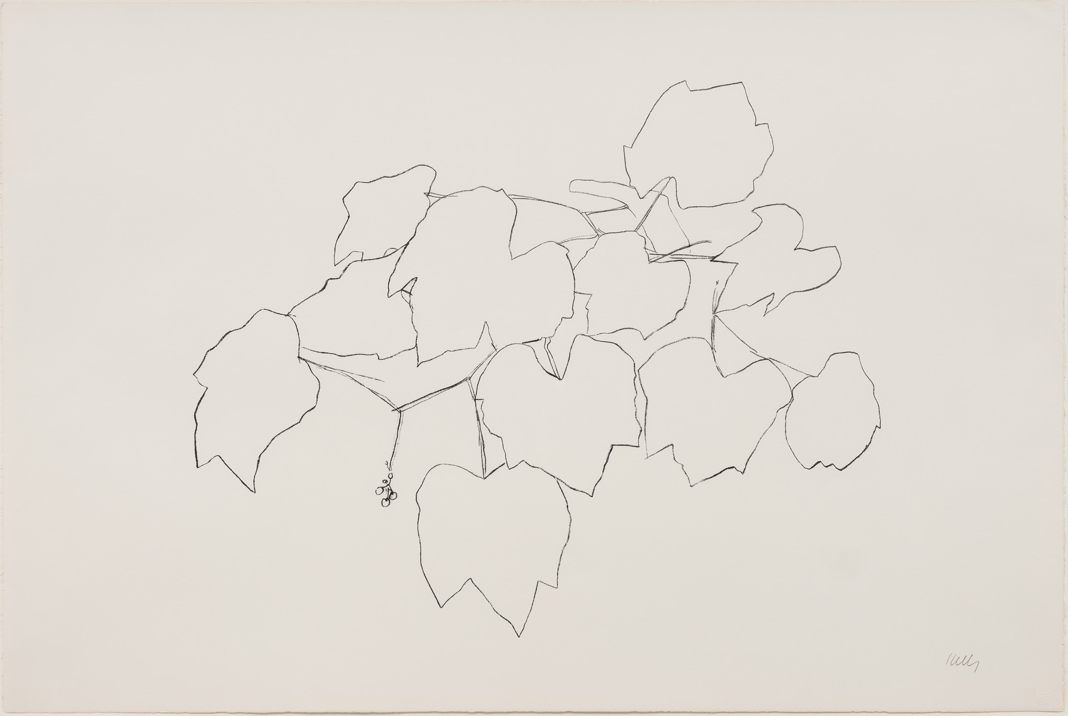 Grape Leaves i by Ellsworth Kelly