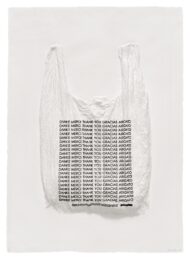 Danke Merci Thank You Gracias Arigato Plastic Bag by Analia Saban at Mixografia