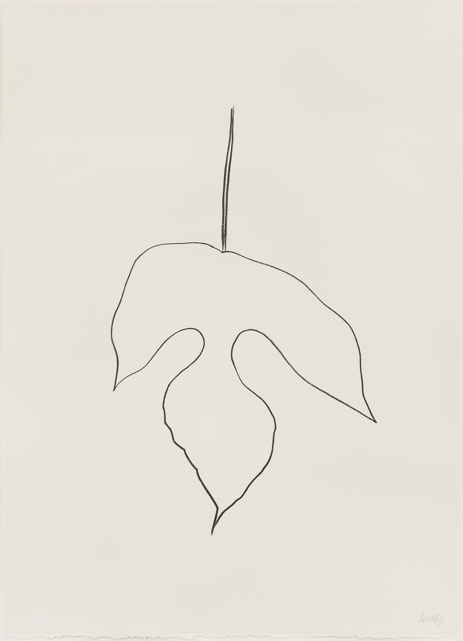 Mulberry Leaf by Ellsworth Kelly