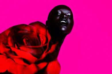 Ebony Rose by Jamie Nelson at Addicted Art Gallery