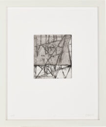 Etchings to Rexroth #25 by Brice Marden at Jim Kempner Fine Art