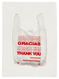 Gracias Gracias Gracias Thank You Thank you Thank You Have a Nice Day Plastic Bag by Analia Saban at Mixografia