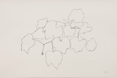 Grape Leaves i by Ellsworth Kelly at Susan Sheehan Gallery