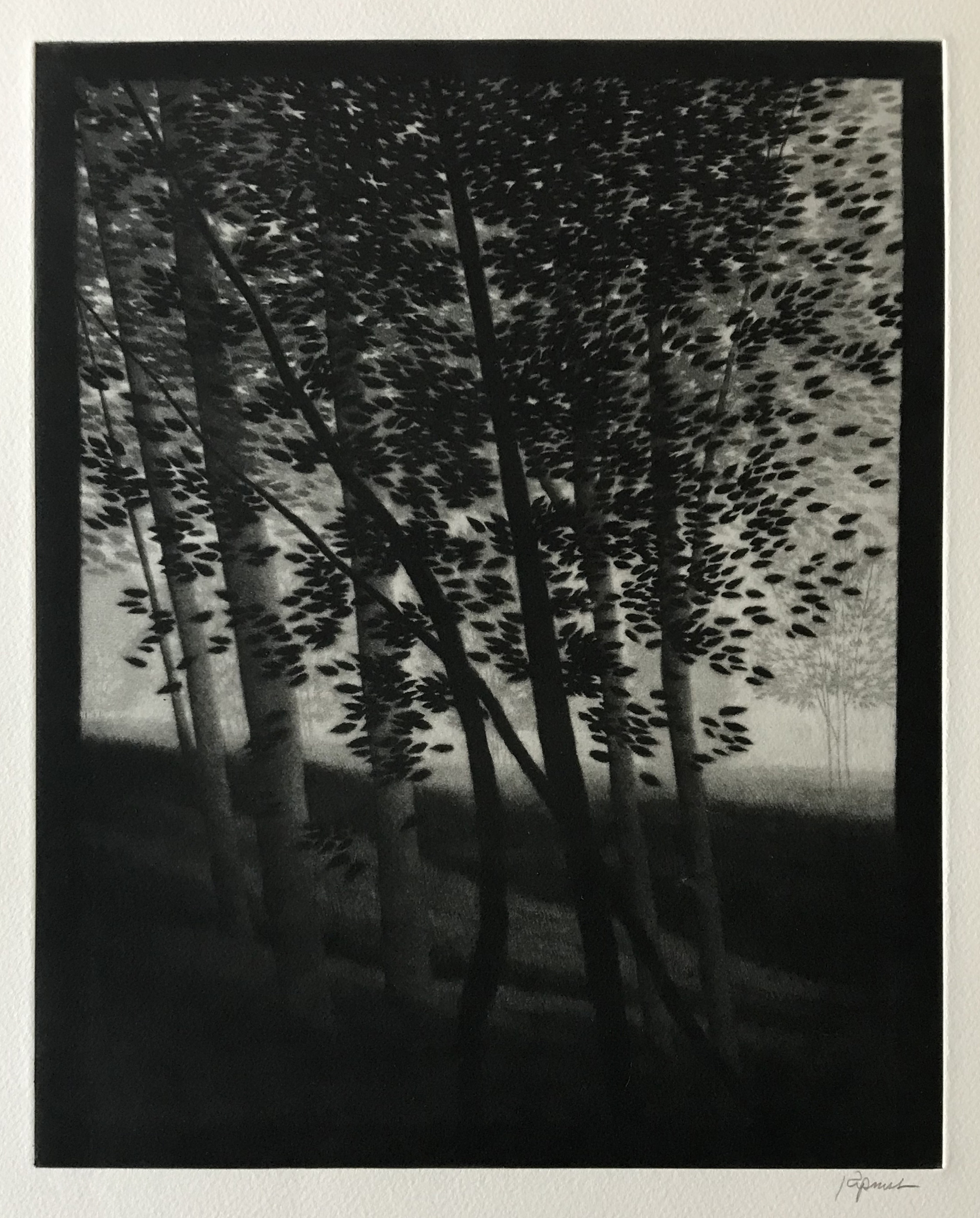 Hillside shadows by Robert Kipniss