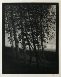 Hillside shadows by Robert Kipniss at ebo Gallery
