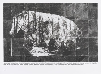 Inverted Cave, The New York Times (Accession No.1974.264, from the collection of the Center for the... by Stephanie Syjuco at Island Press