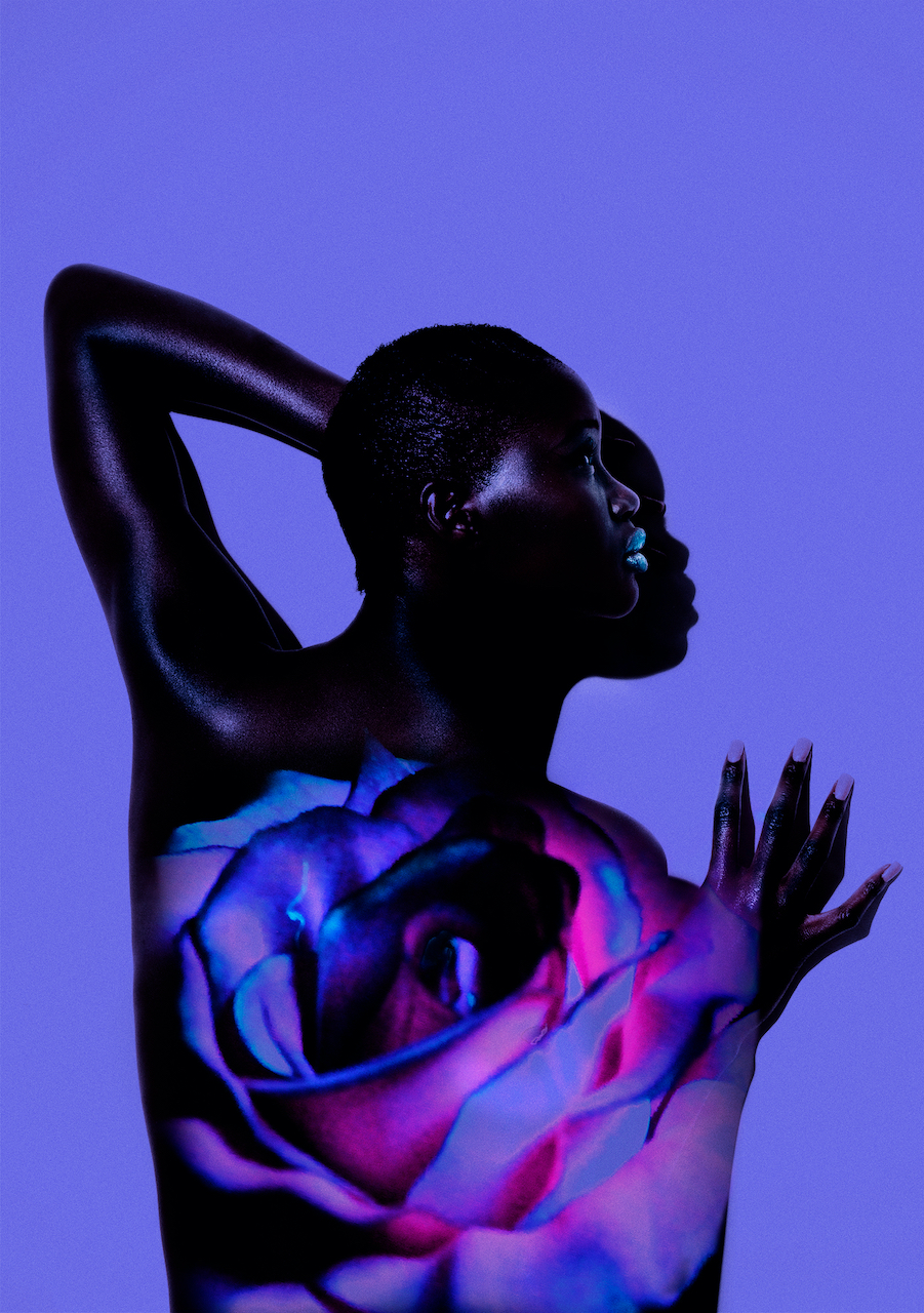 Wallflower by Jamie Nelson