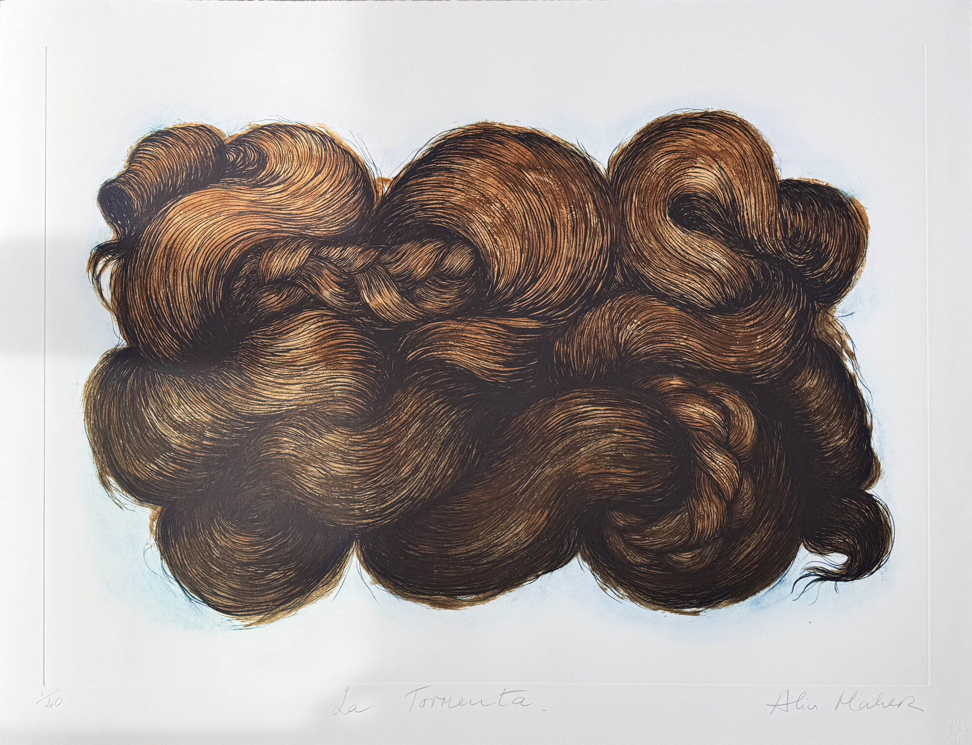 La Tormenta by Alice Maher