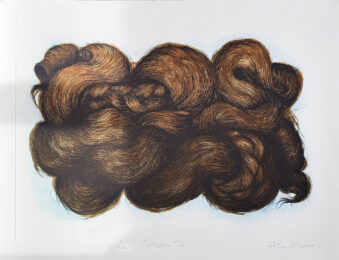 La Tormenta by Alice Maher at Stoney Road Press