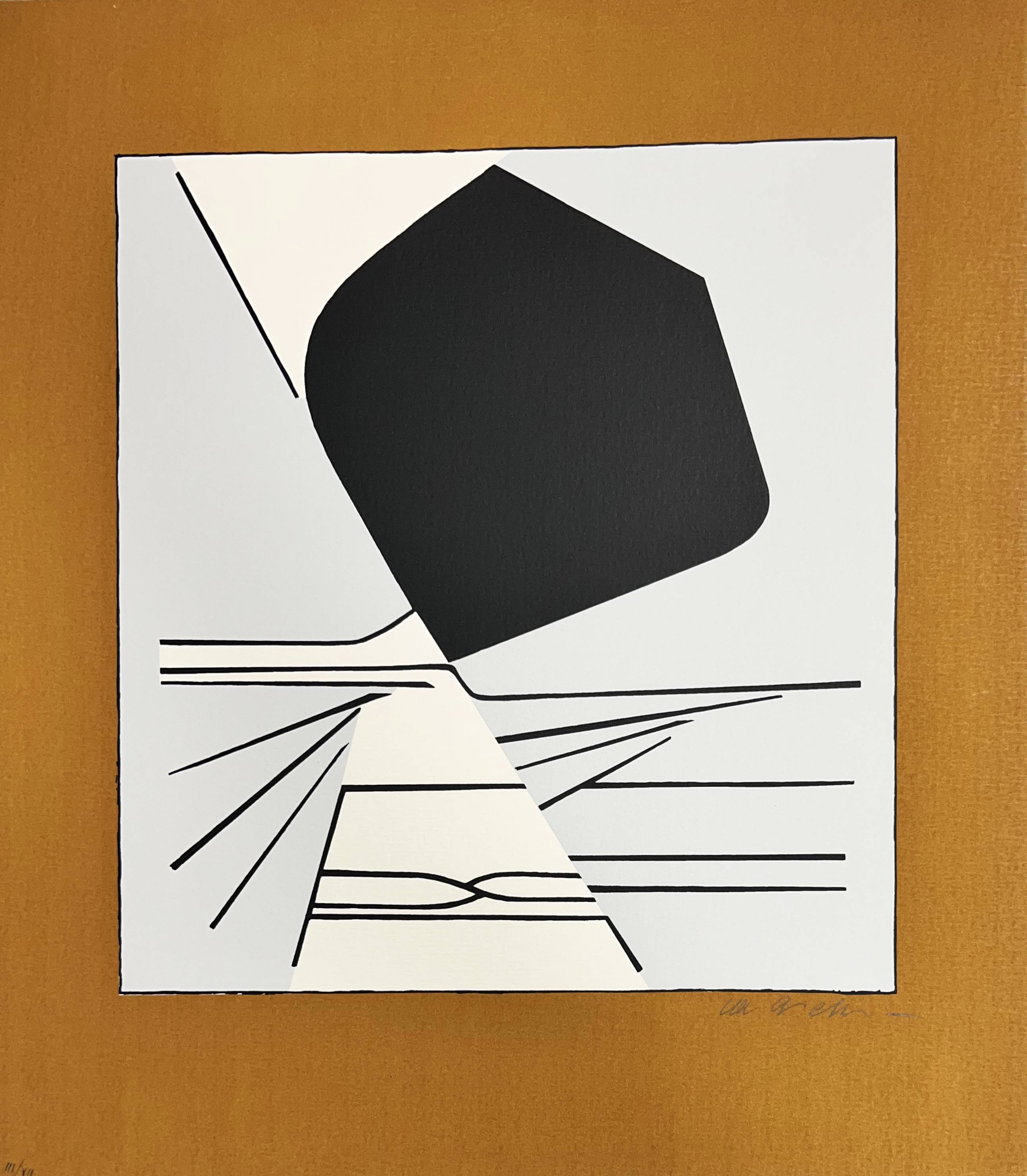 Latorça by Victor Vasarely